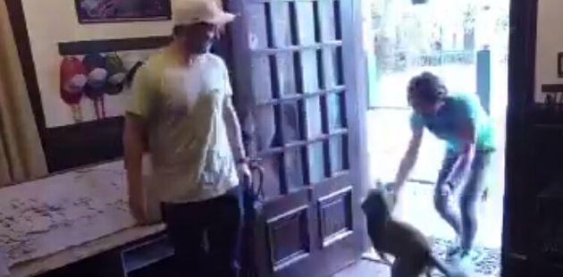 Αστροναύτισσα συναντά το σκύλο της ύστερα από 328 μέρες