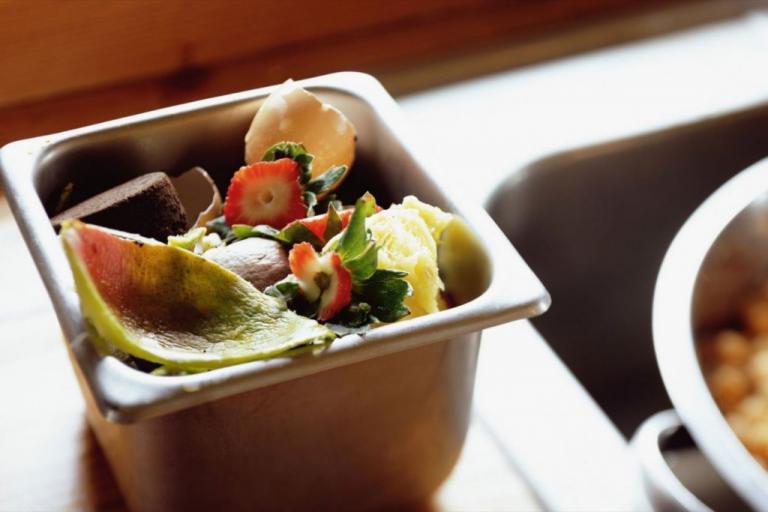 Νέα μελέτη: Φαγητό 527 θερμίδων την ημέρα πετάει ο μέσος άνθρωπος