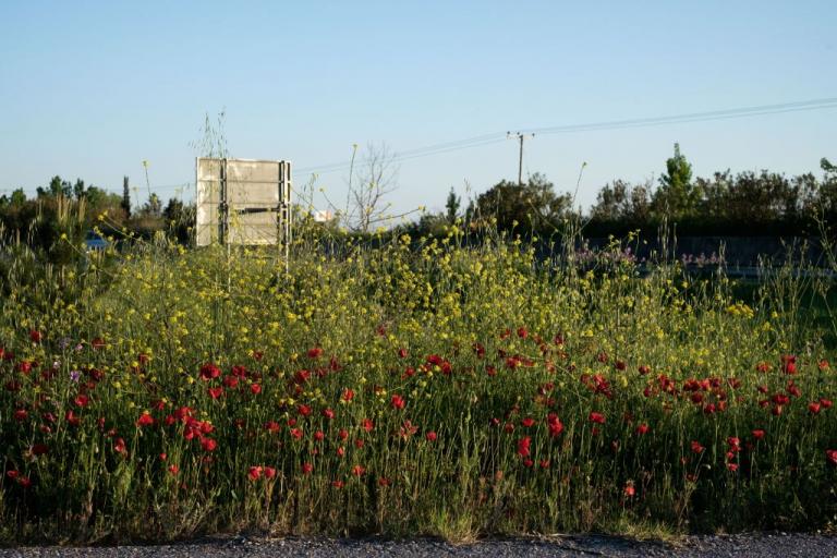 Καιρός: Λιακάδα με καλές θερμοκρασίες