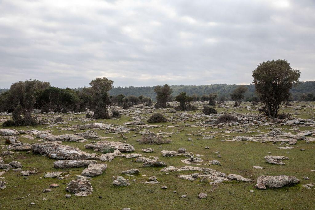 Σχεδιάζουν κλειστό κέντρο προσφύγων σε στρατιωτικής σημασίας χώρο, καταγγέλλουν οι φορείς