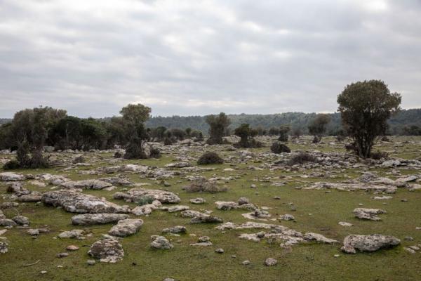 Σχεδιάζουν κλειστό κέντρο προσφύγων σε στρατιωτικής σημασίας χώρο, καταγγέλλουν οι φορείς