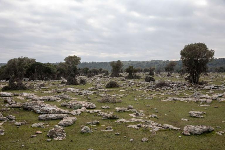 Σχεδιάζουν κλειστό κέντρο προσφύγων σε στρατιωτικής σημασίας χώρο, καταγγέλλουν οι φορείς
