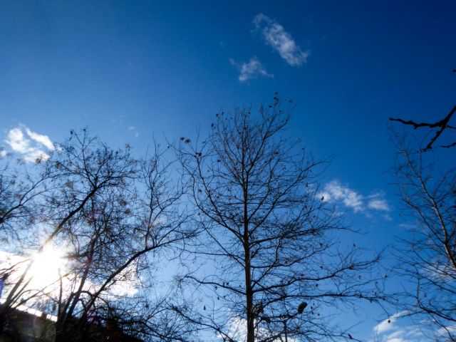 Καιρός: Ήλιος και άνοδος της θερμοκρασίας