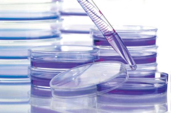 Νέα ανοσοθεραπεία μειώνει τον κίνδυνο επανεμφάνισης του καρκίνου του μαστού