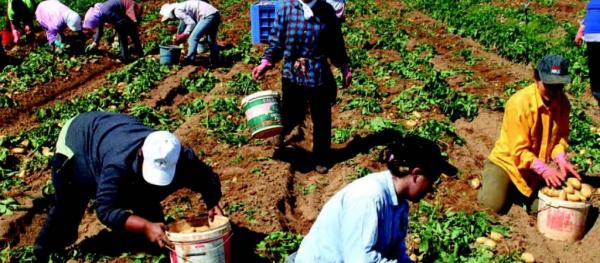 Editorial To Vima: Crucial decisions