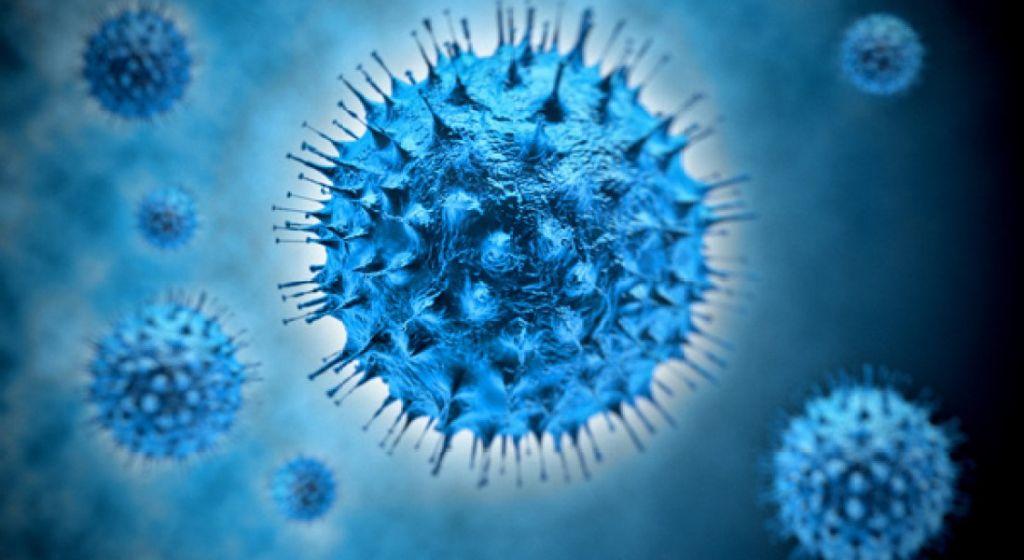 Yaravirus : Νέος μυστηριώδης ιός εντοπίστηκε στη Βραζιλία