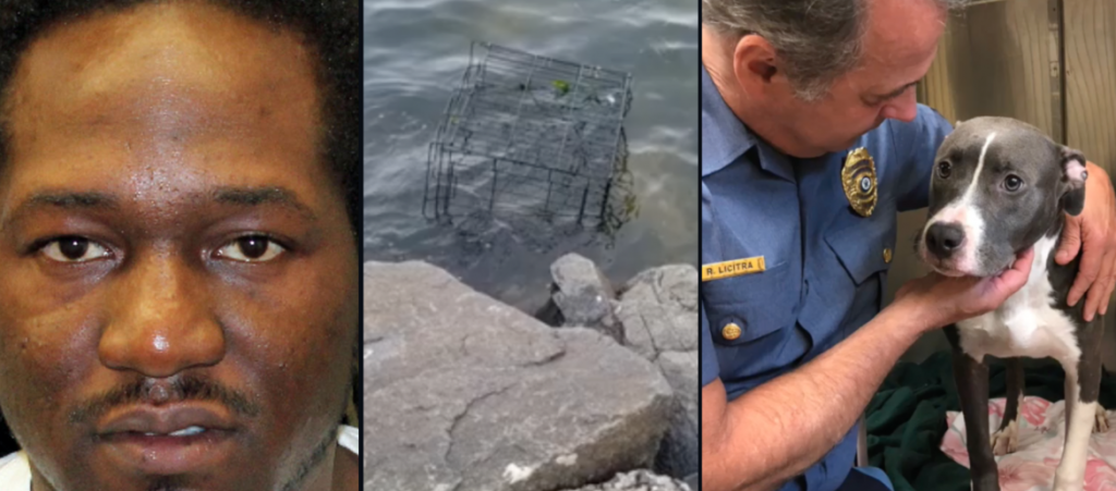 Στη φυλακή επειδή επιχείρησε να πνίξει το κουτάβι της πρώην συντρόφου του