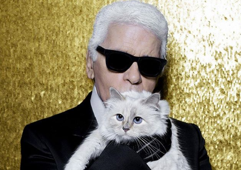 Tι κάνει η γάτα του Λάγκερφελντ έναν χρόνο μετά το θάνατό του;