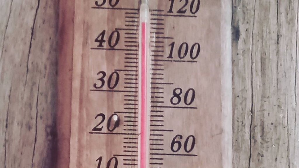 Τα ζώδια όταν έχει καύσωνα