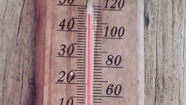 Τα ζώδια όταν έχει καύσωνα