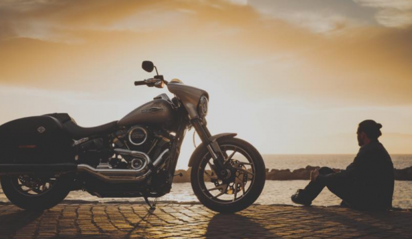 Έτσι κάνει κάθε ζώδιο όταν βαριέται