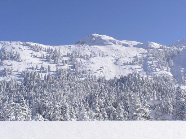 Προθέσεις, συστατικό στοιχείο της γλώσσας μας (Μέρος ΙΒ’)