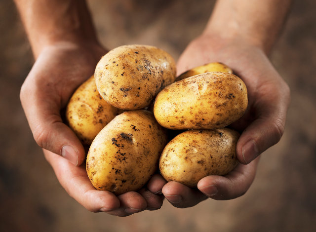 Ο Καποδίστριας και οι… πατάτες – Πως οι Έλληνες γνώρισαν τα «γεώμηλα»