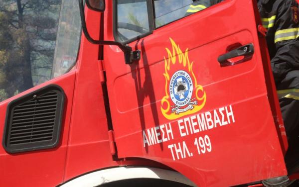 Πυρκαγιά σε δασική έκταση στον Αυλώνα Αττικής