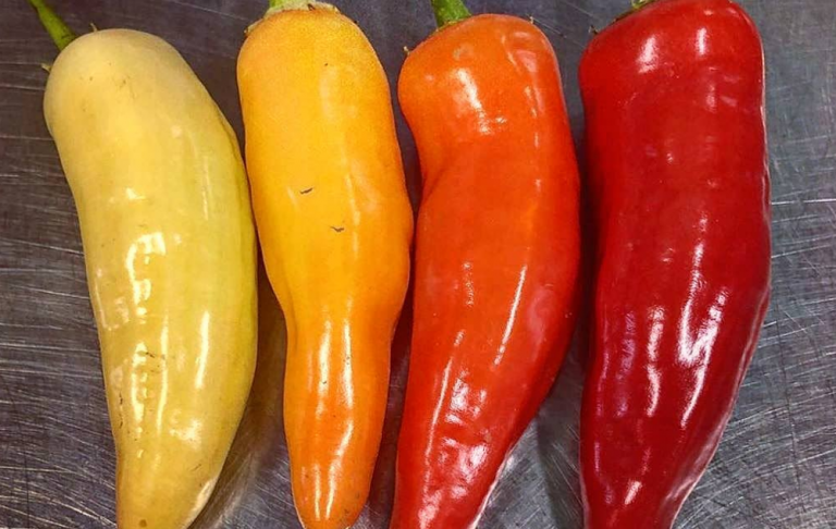 Όταν το ζευγάρι είδε τι είχε μέσα η πιπεριά, έπαθε σοκ