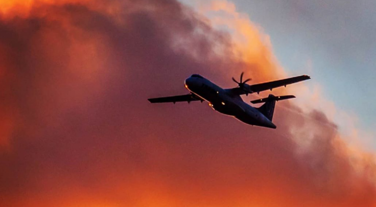 Για ποιο λόγο κάθε ζώδιο μπορεί να γίνει μετανάστης;