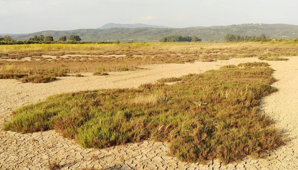 Η Ελλάδα είναι πιθανόν μέχρι το τέλος του αιώνα να έχει ερημοποιηθεί κατά 40%