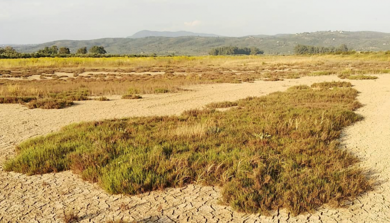 Η Ελλάδα είναι πιθανόν μέχρι το τέλος του αιώνα να έχει ερημοποιηθεί κατά 40%