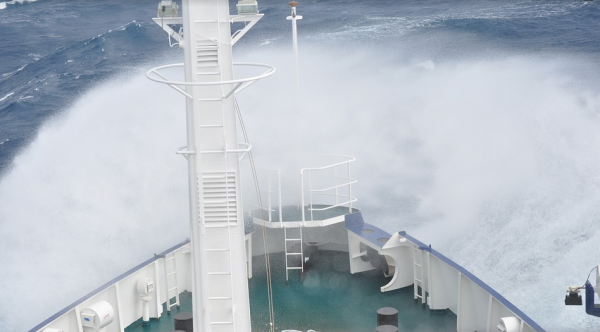 Τα ζώδια κατά τη διάρκεια μιας θαλασσοταραχής