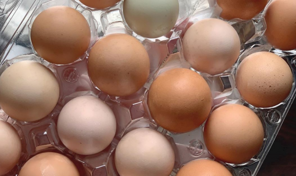 Δεν θα πιστεύετε που είναι χρήσιμα τα τσόφλια των αυγών
