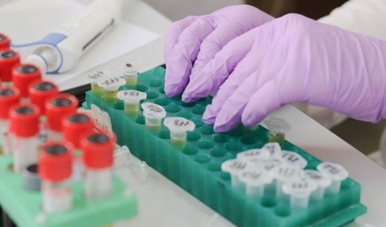 Οι διαφορές της τροφικής δηλητηρίασης και της τροφικής αλλεργίας