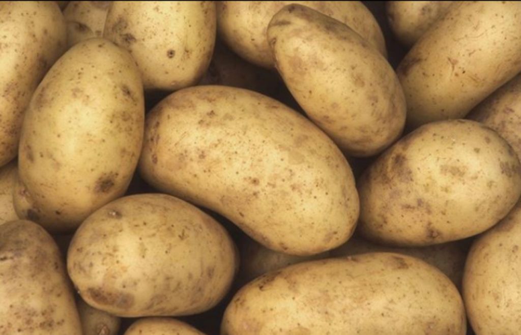 Πατάτες: Πως συντηρούνται καλύτερα στην κουζίνα μας;