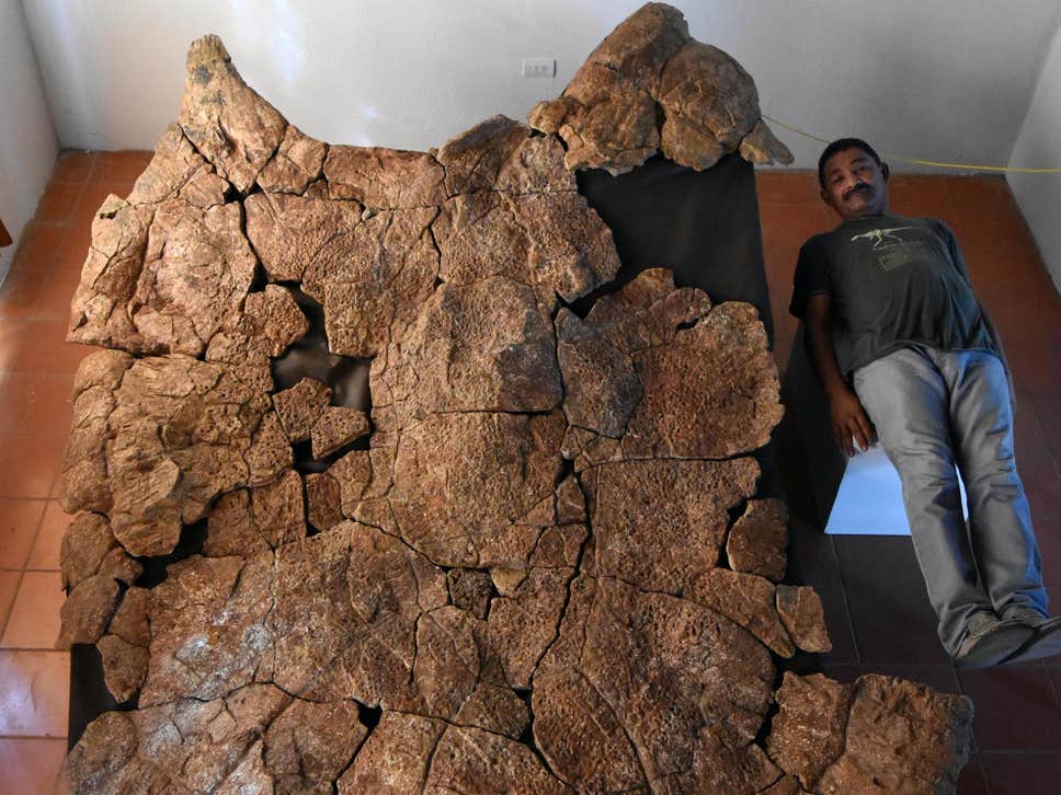 Απολιθώματα γιγάντιας χελώνας ανακαλύφθηκαν στη Νότια Αμερική