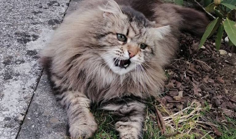 Για αυτό θα γίνει έξαλλος ο Ιχθύς