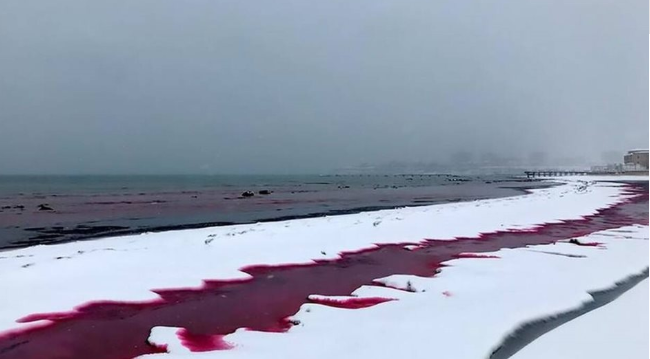 «Μάτωσε» η θάλασσα στο Καζακστάν