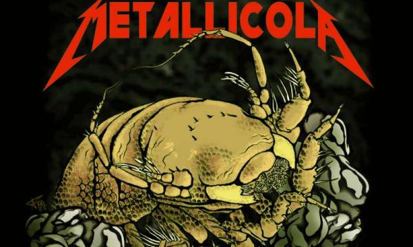 Ένα νέο θαλάσσιο πλάσμα ονομάζεται… Metallica