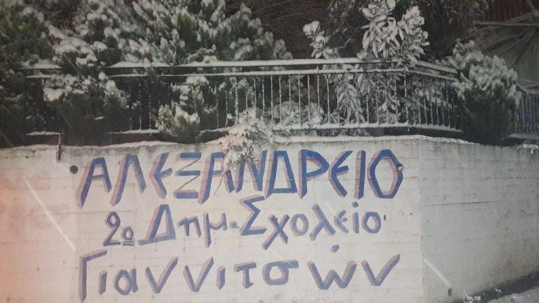 Κοροναϊός : Διευθυντής σχολείου στα Γιαννιτσά τίμησε μόνος του την 25η Μαρτίου