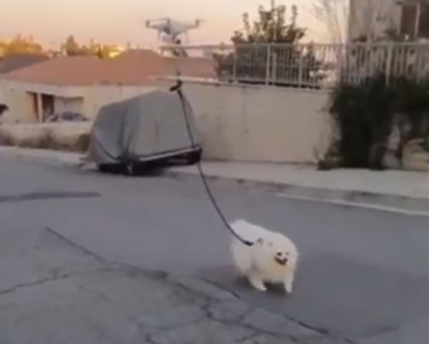 Κοροναϊός : Το... τερμάτισε! Έβγαλε τον σκύλο βόλτα με… drone