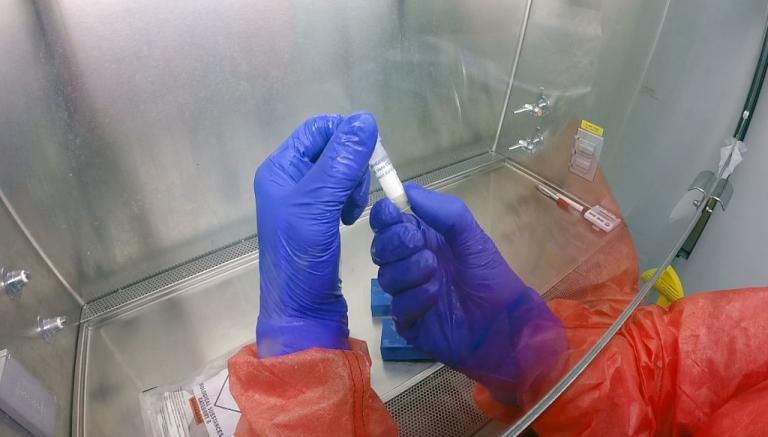 Κοροναϊός : 31 νέα κρούσματα με τα συνολικά να αυξάνονται σε 495 – Τρεις νεκροί το τελευταίο 24ωρο