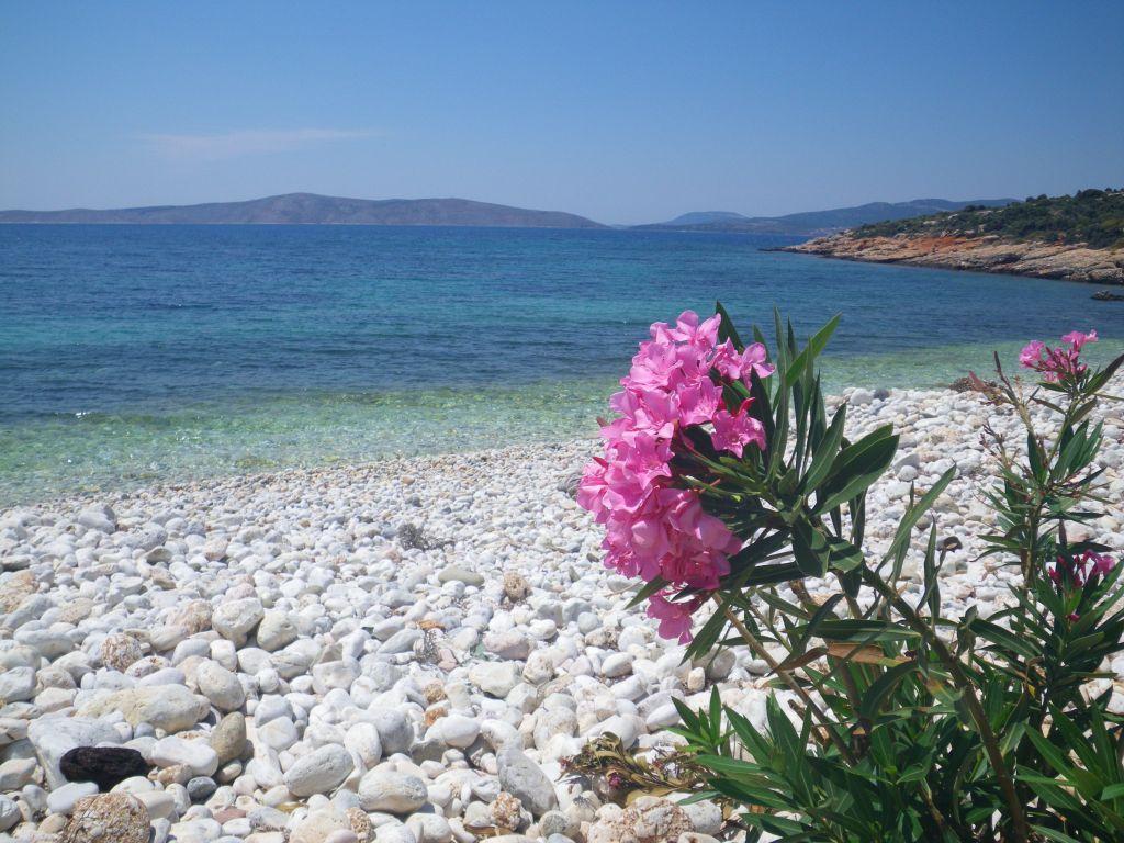 Τι τέξεται η επιούσα ή τι τεύξεται η επιούσα;