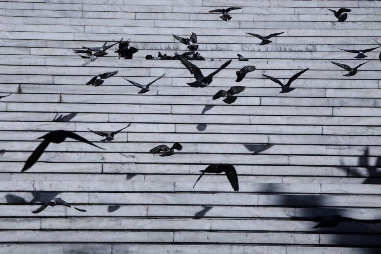 Πώς οδηγηθήκαμε στην απαγόρευση κυκλοφορίας – Το στοίχημα για κυβέρνηση και πολίτες