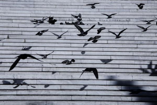 Κοροναϊός : Η χώρα βιώνει συνθήκες πολέμου – Πιο μαύρη θα είναι η επόμενη ημέρα