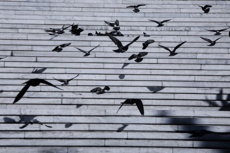 Κοροναϊός : Η χώρα βιώνει συνθήκες πολέμου – Πιο μαύρη θα είναι η επόμενη ημέρα