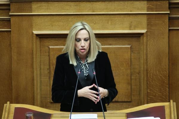 Γεννηματά: Η Βουλή να ενισχύσει οικονομικά νέες κλίνες ΜΕΘ