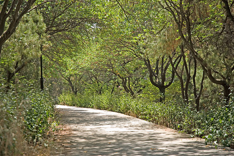 Κοροναϊός : Κλείνουν Πεδίον Άρεως, Λόφος Φινόπουλου και Αττικό Άλσος και είσοδοι Υμηττού
