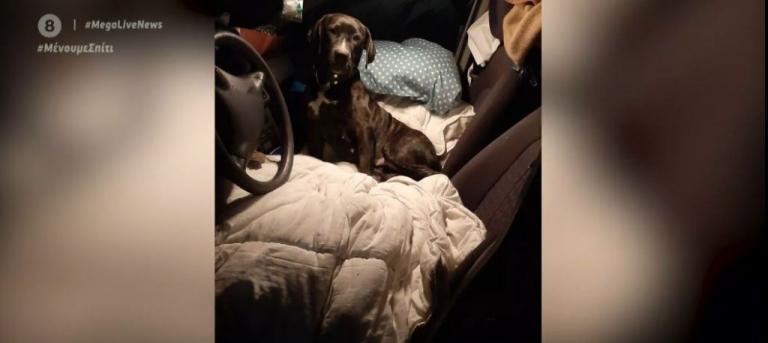 Δραματική έκκληση Έλληνα εγκλωβισμένου στην Ιταλία: «Έχω υποκείμενο νόσημα, τελειώνουν τα χρήματα»