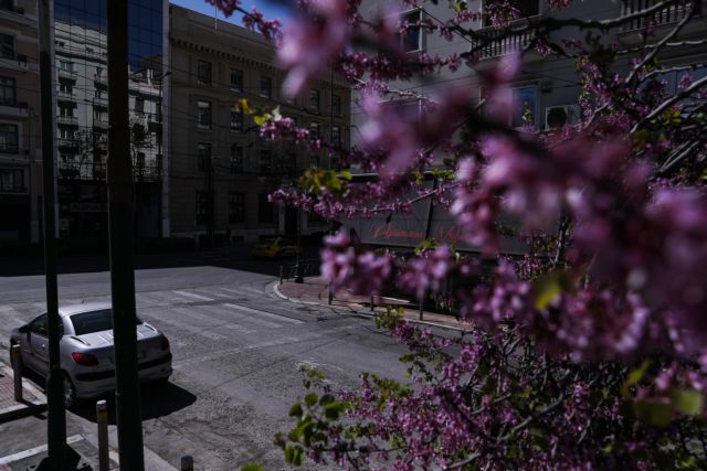 Ανοιξιάτικος ο καιρός και την Τετάρτη