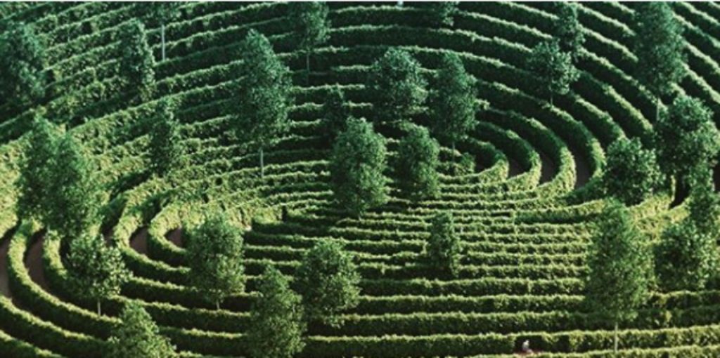 Πάρκο ιδανικό για… social distancing