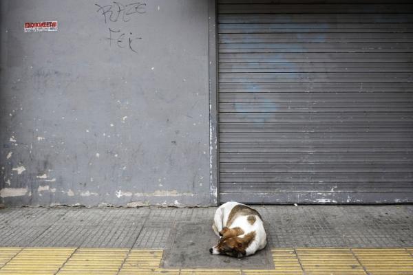 Κοροναϊός : Νέες δράσεις στήριξης των ευάλωτων ομάδων και ζώων