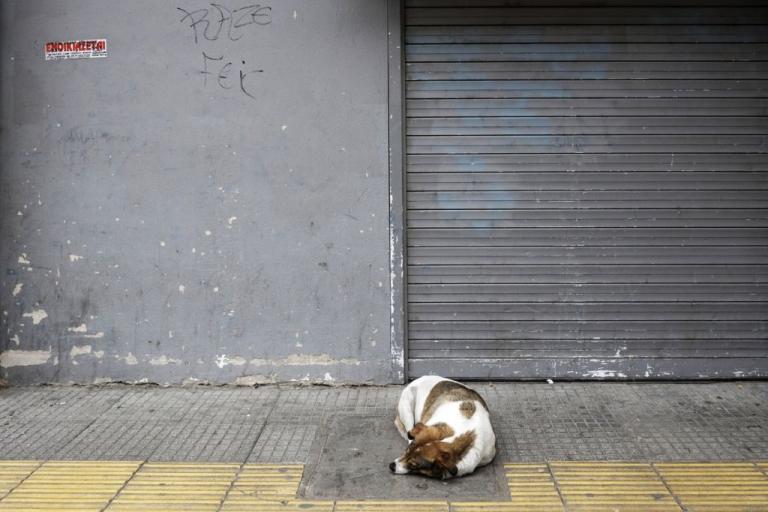 Κοροναϊός : Νέες δράσεις στήριξης των ευάλωτων ομάδων και ζώων