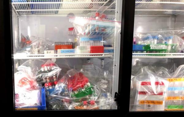 Κοροναϊός: Εντυπωσιακά αποτελέσματα από δοκιμή θεραπείας με πλάσμα ασθενών