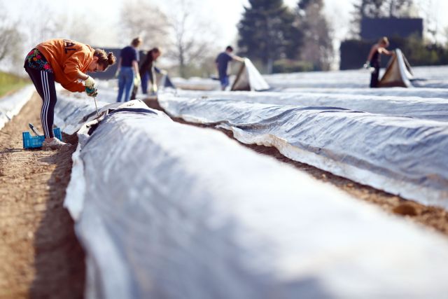 Κοροναϊός : «Ξέμειναν» από εποχικούς εργάτες – Τώρα θέλουν τους πρόσφυγες