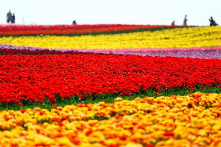 Οσοι νομίζουν ότι η επόμενη ημέρα θα είναι… πάρτι, πλανώνται πλάνην οικτράν