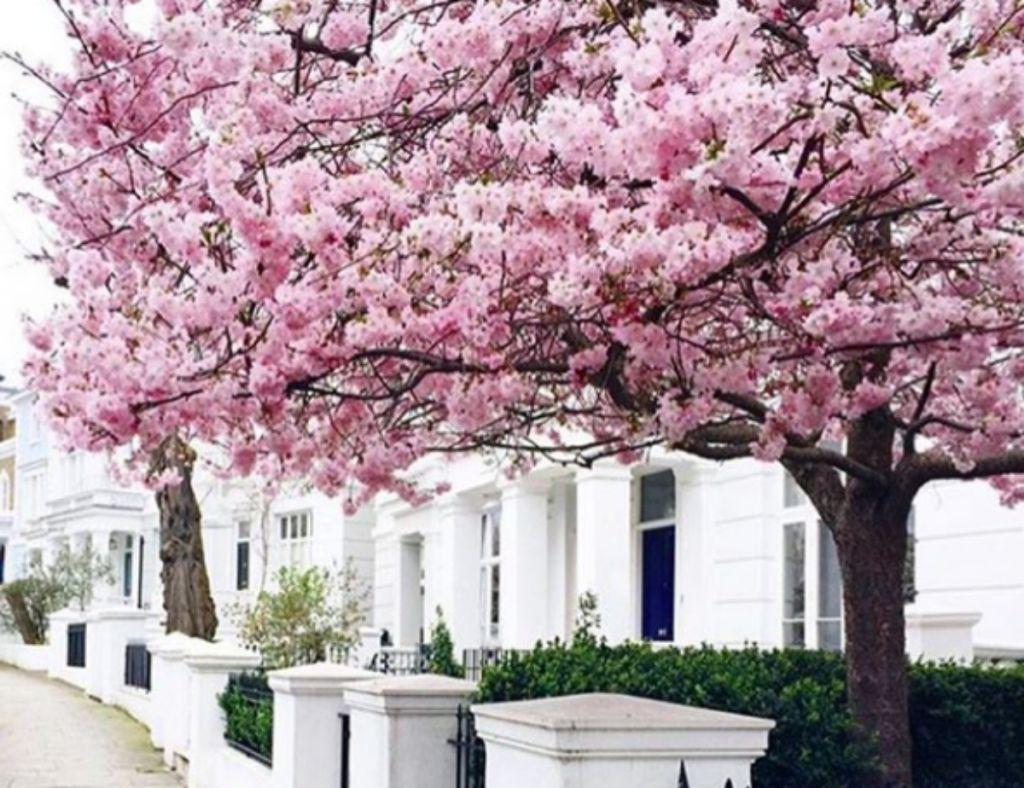 Αστρολογικές προβλέψεις για το Σαββατοκύριακο 2-3 Μαΐου