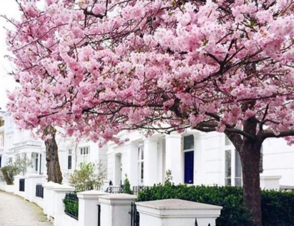 Αστρολογικές προβλέψεις για το Σαββατοκύριακο 2-3 Μαΐου