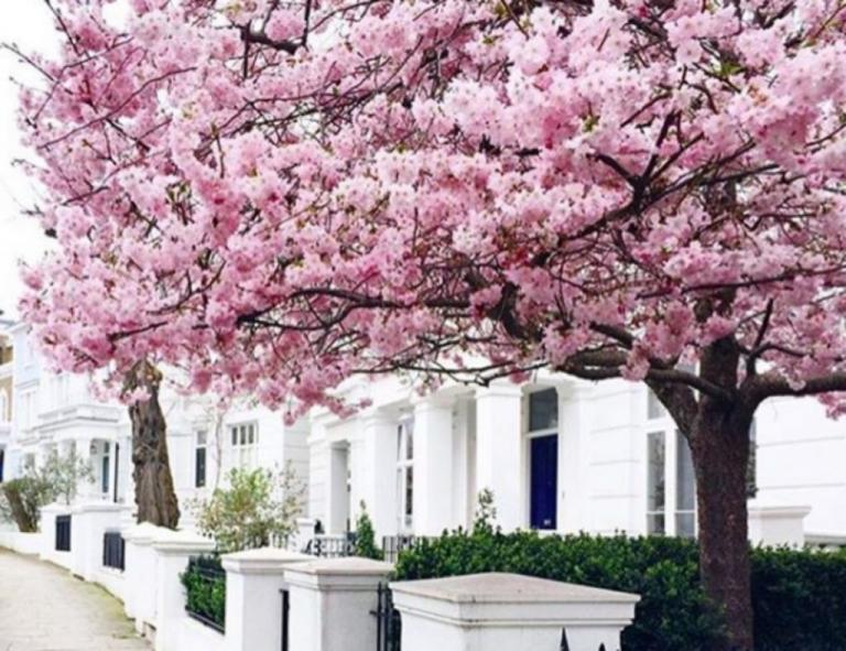 Αστρολογικές προβλέψεις για το Σαββατοκύριακο 2-3 Μαΐου